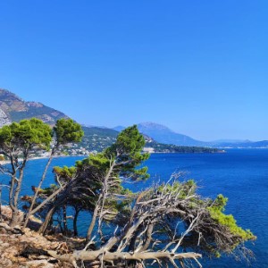 Bar et Sutomore, dernier passage sur la côte adriatique 🇲🇪 #montenegro #landscape